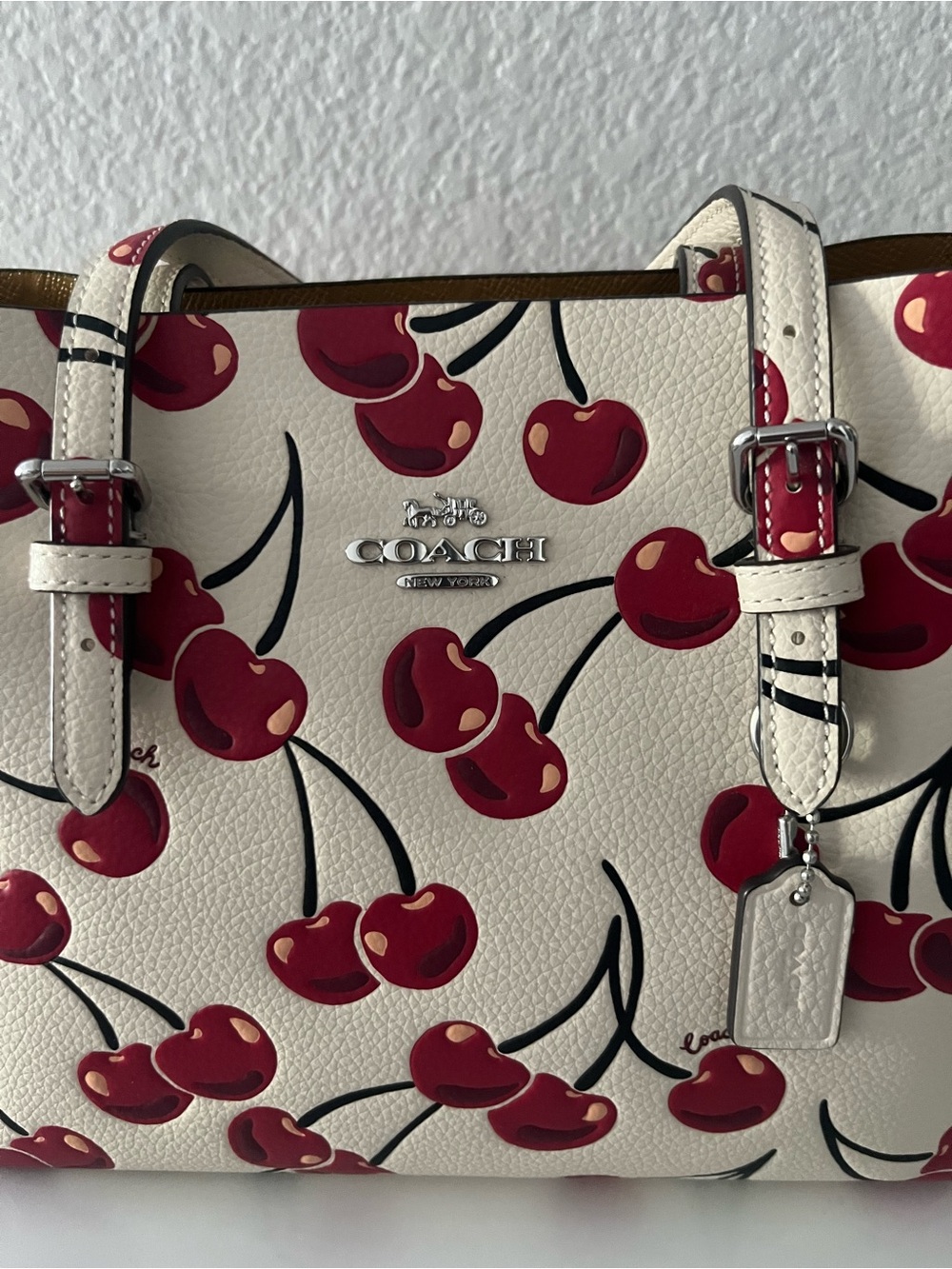 COACH Mollie Tote Bag 25 - Picture 7 of 15
